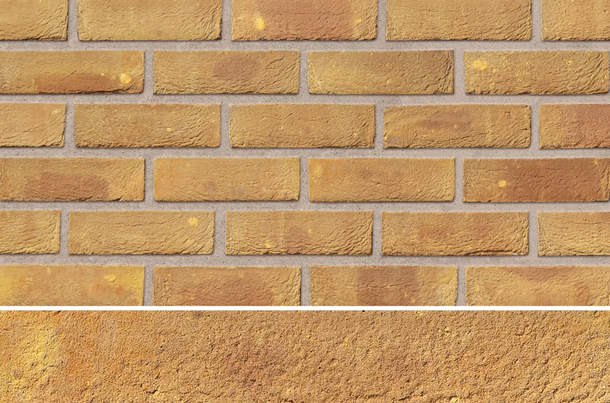 Ibstock Bradgate Golden Purple