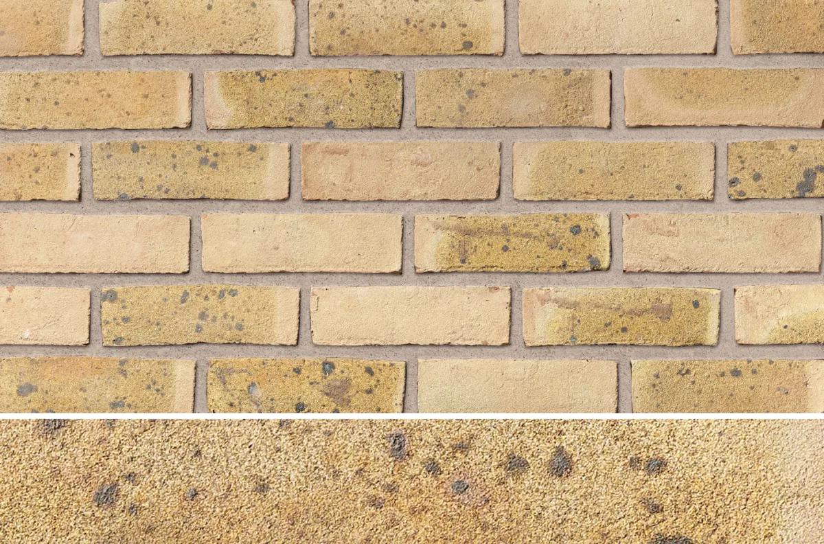 Ibstock Coleridge Yellow Multi