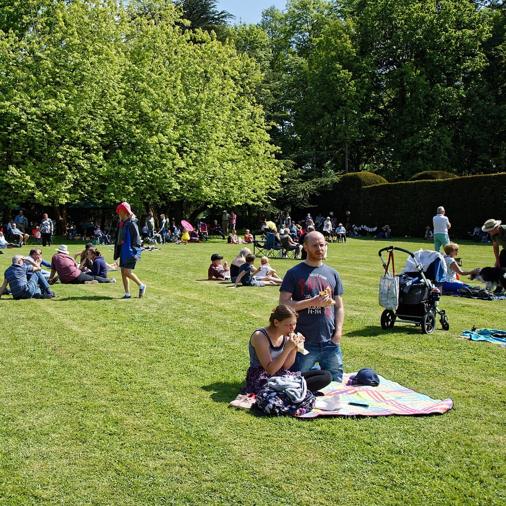 Amenity Grassland / Lawn