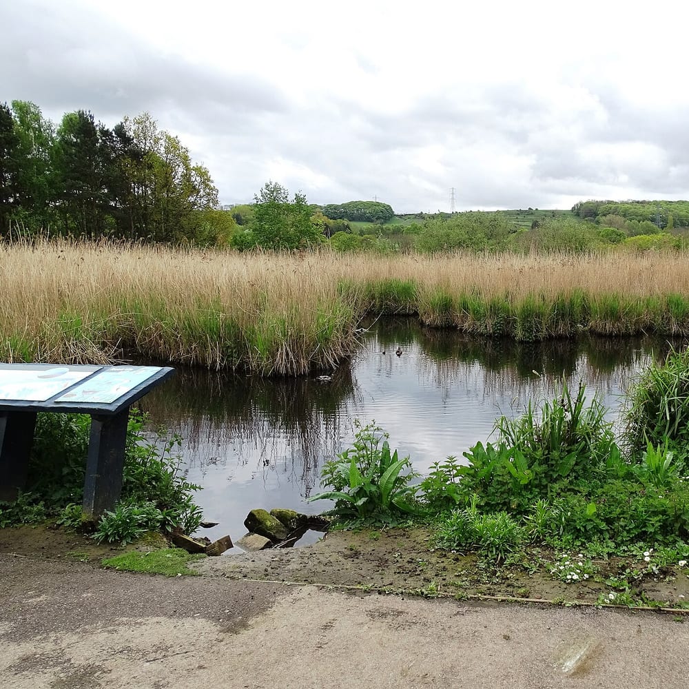 Attenuation Basin / Wetland