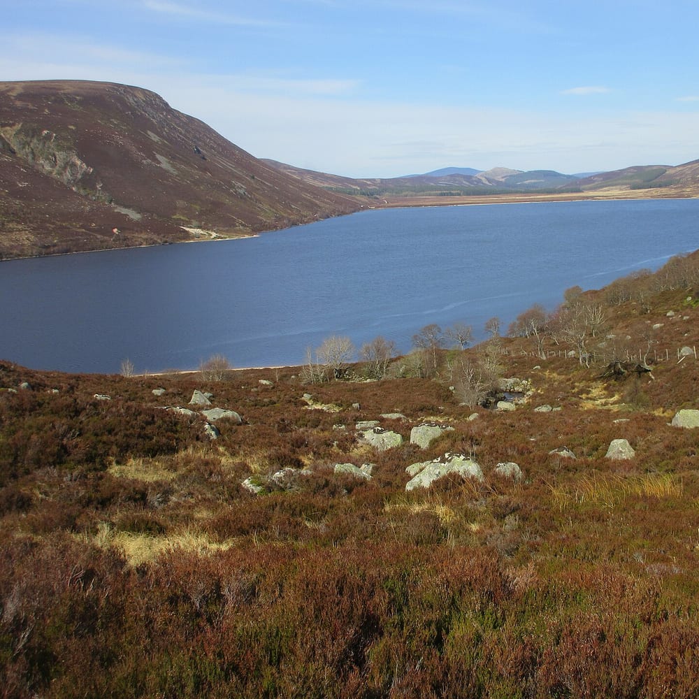 Lowland Heathland