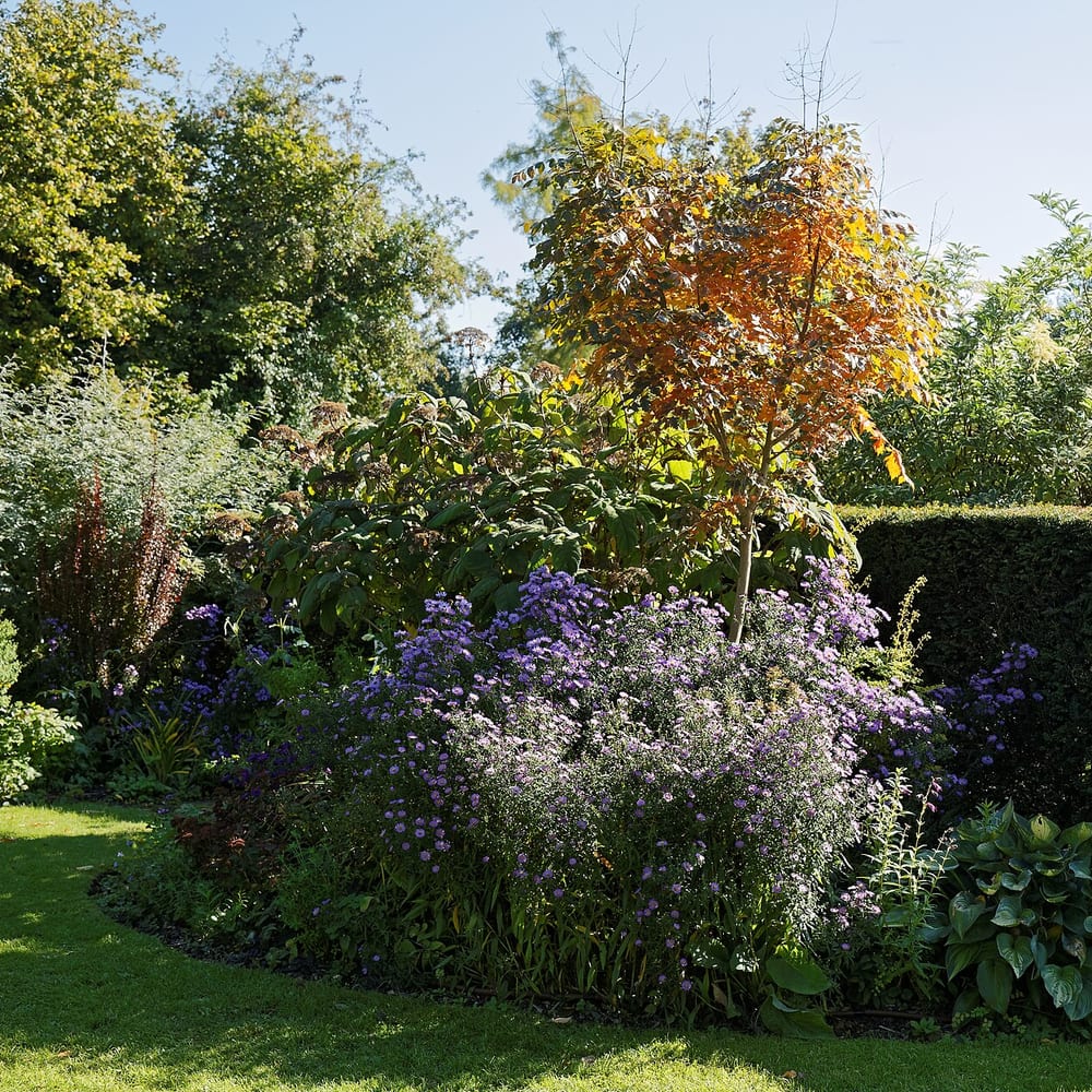 Native Planting