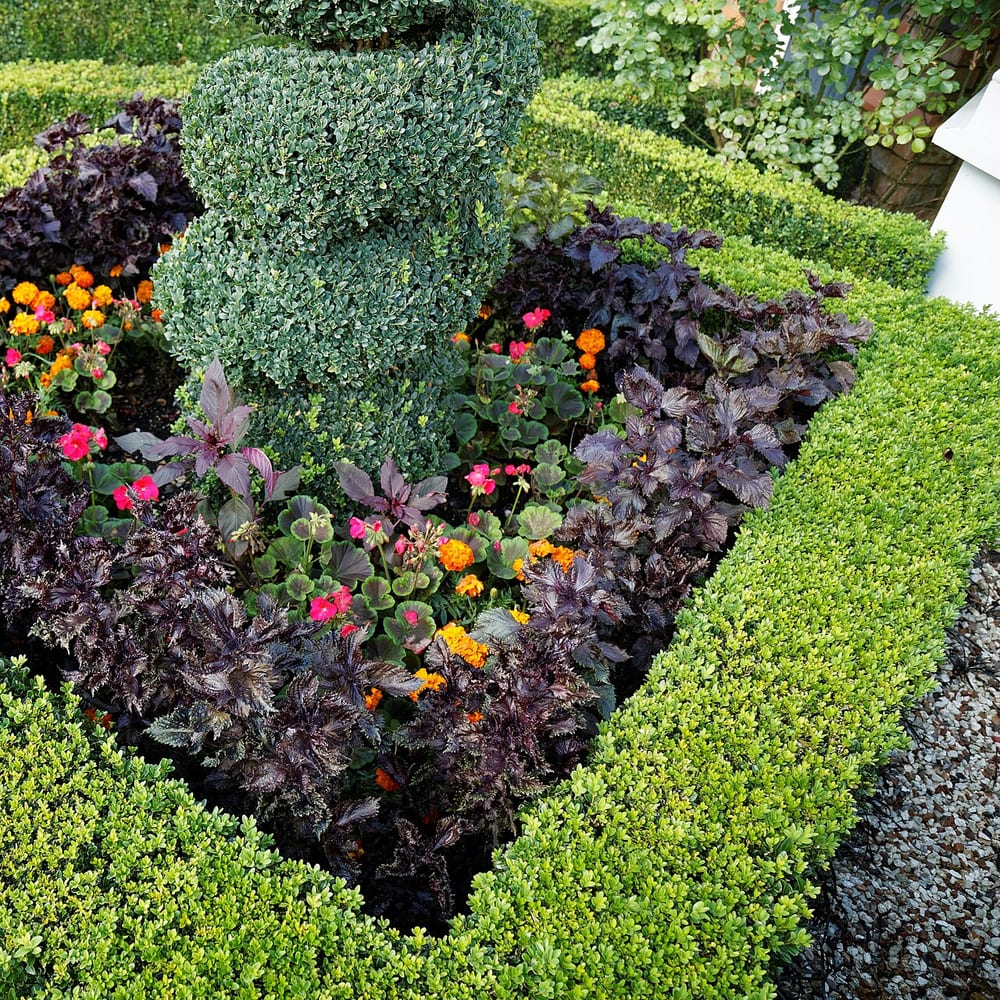 Ornamental Planting