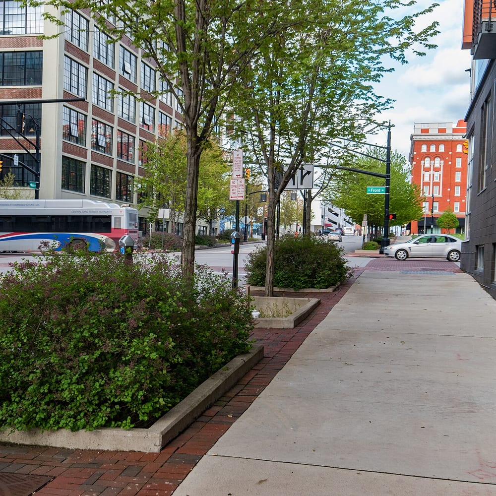 Rain Garden